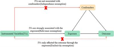A bidirectional Mendelian randomization study about the role of morning plasma cortisol in attention deficit hyperactivity disorder